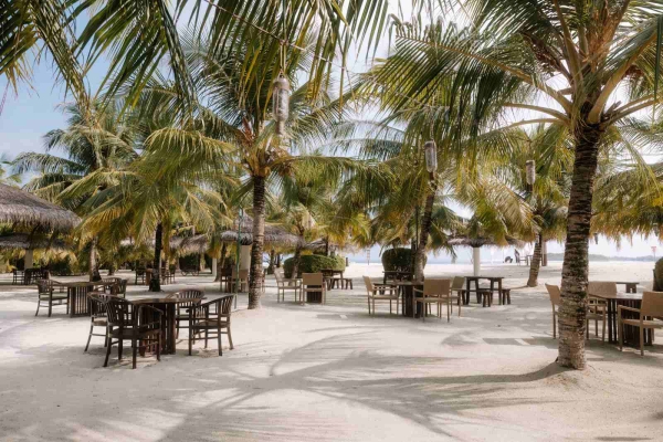 Tiki Bar